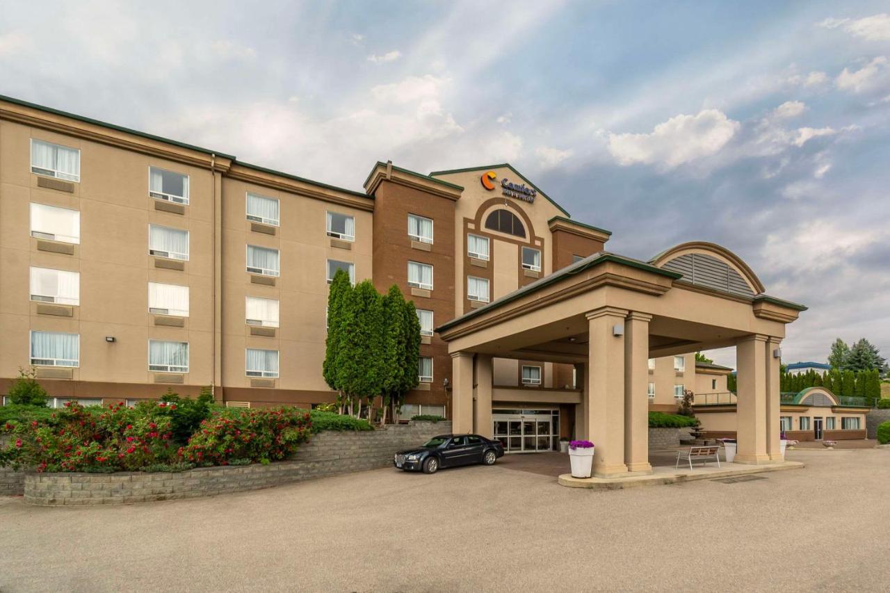 Hotel Comfort &