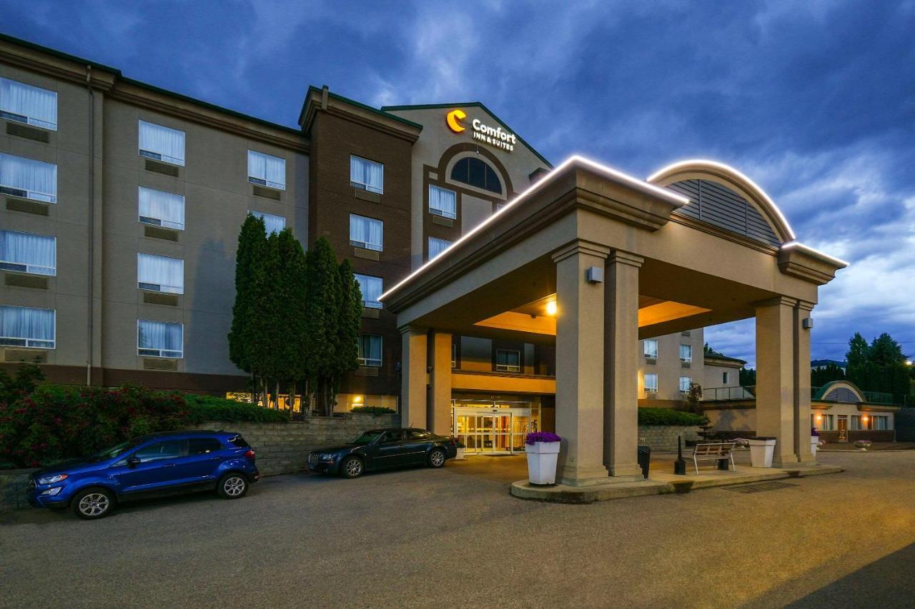 Comfort & Hotel